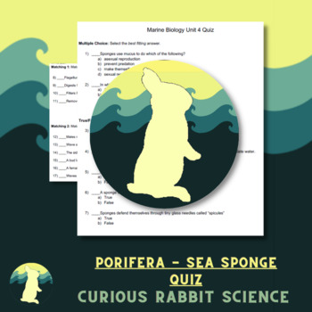Preview of Marine Simple Animals: Porifera - Sea Sponge Quiz