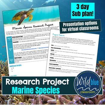 Preview of Marine Species Research Project Assignment | Marine Science sub plans