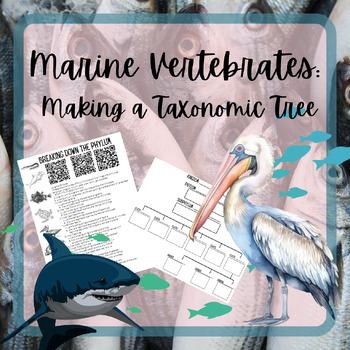 Preview of Marine Vertebrates: Create a Taxonomic Tree