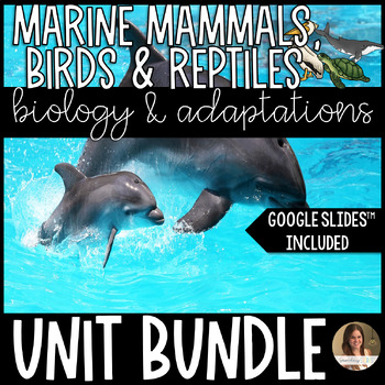 Preview of Marine Vertebrates (Mammals, Reptiles, Seabirds) Unit Bundle - Marine Science