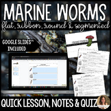 Marine Worms Lesson Guided Notes and Assessment - Marine Science