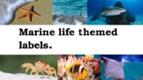 Marine life theme small group labels/table group names