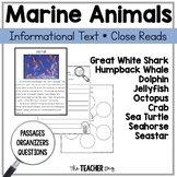 Marine (ocean) Animals Informational Text Close Reading
