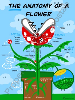 Preview of Mario inspired Anatomy of a Flower Poster *digital download*