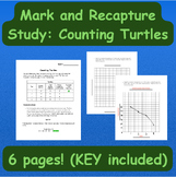 Mark and Recapture Counting Turtles Activity