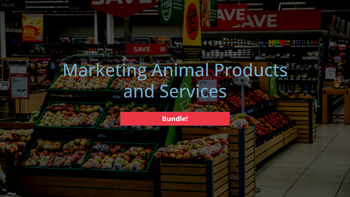 Preview of Marketing in Animal Products and Services Bundle