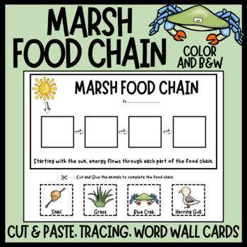 Preview of Marsh Food Chains - Activity and Word Wall Cards - Animal Food Chain