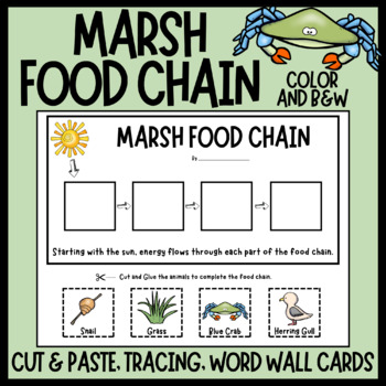 Marsh Food Chains - Activity and Word Wall Cards - Animal Food Chain