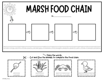 Marsh Food Chains - Activity and Word Wall Cards - Animal Food Chain