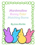 Easter Bunny Matching Activity for Preschool