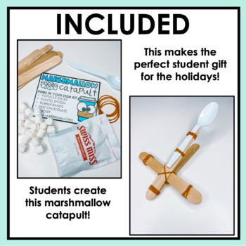 Carolina STEM Challenge : Paint Stirrer Catapult Student Mini Kit