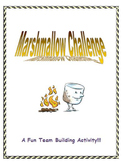 Marshmallow Challenge/Team Building