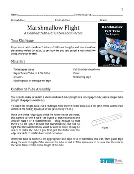 Preview of Marshmallow Flight Lab