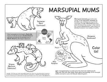 Preview of Marsupial Mums Coloring Page