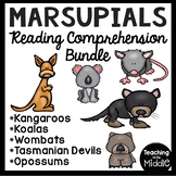 Marsupials Informational Text Reading Comprehension Bundle