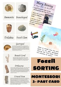 Preview of Mary Anning FOSSIL 3 part card - MONTESSORI SORTING ACTIVITY