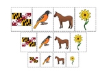 Maryland State Symbols themed Size Sorting. Printable Pres