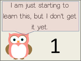 Marzano's Level of Understanding Posters (Owl Themed) with