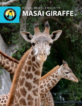 Preview of Masai Giraffe Work Packet; Crafts and Activities