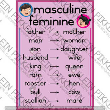 Masculine and Feminine Poster (PINK) by Klein Pikkewyn | TPT