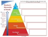 Maslow's Hierarchy of Needs in Business: Graphic Organizer