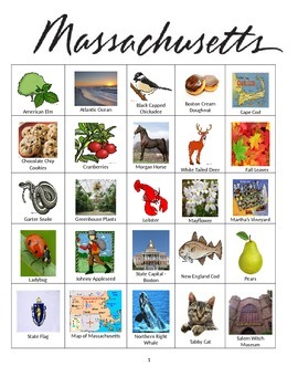 Preview of Massachusetts Bingo:  State Symbols and Popular Sights