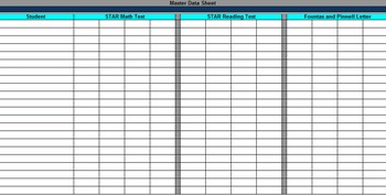 Preview of Master Data Sheet