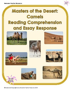 Preview of Masters of the Desert: Camels Comprehension Questions and Essay Response