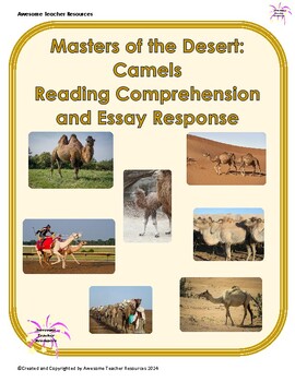 Masters of the Desert: Camels Comprehension Questions and Essay Response