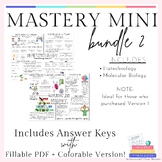 Mastery Mini - Bundle Version 2