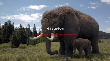 Preview of Mastodon