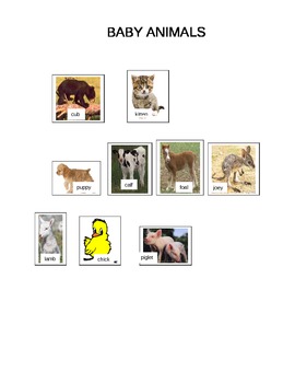 match the mom with the baby animals