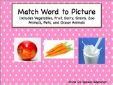 Match Word to Picture - Adapted Book/File Folders
