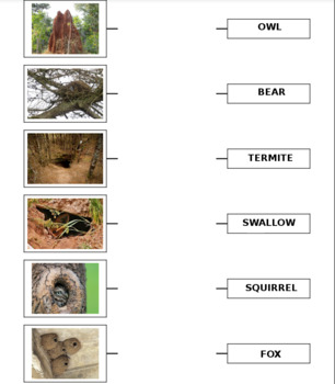 Preview of Match the animal with the nest in which it lives