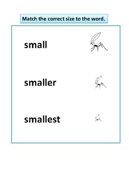 Preview of Match the correct size to the word.