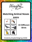 Matching Animal Noses Birds Science Activity