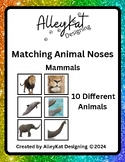 Matching Animal Noses Mammals Science Activity