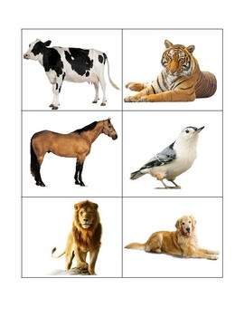 Preview of Matching Animals
