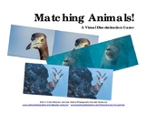 Matching Animals! A Visual Discrimination Game