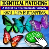 Matching Butterflies DIGITAL RESOURCE for Special Education