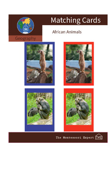 Preview of Matching Cards: AFRICAN ANIMALS (#4)
