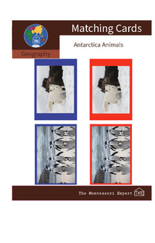 Preview of Matching Cards: Antarctica Animals (#1)