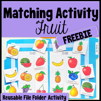 Preview of Matching - Fruit (Reusable Velcro File Folder Practice Activity) FREEBIE
