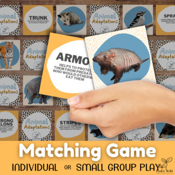 Preview of Matching Game: Animal Adaptations (Print Ready)