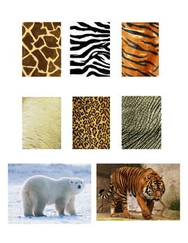 Preview of Matching Game - Safari Animal File Folder Game
