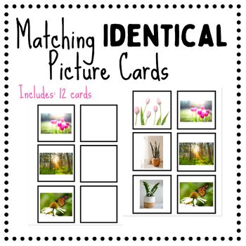 Preview of Matching Identical Picture Cards