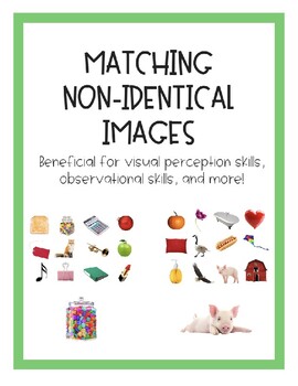 Preview of Matching Non-Identical Images - Visual Perception, Observational Skills, etc.