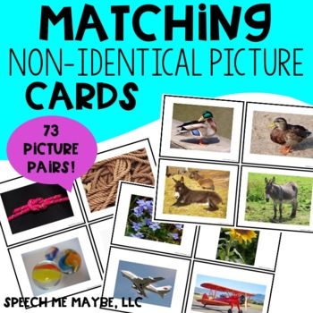 Preview of Matching Non-Identical Picture Cards