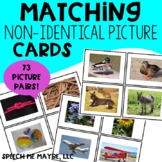 Matching Non-Identical Picture Cards