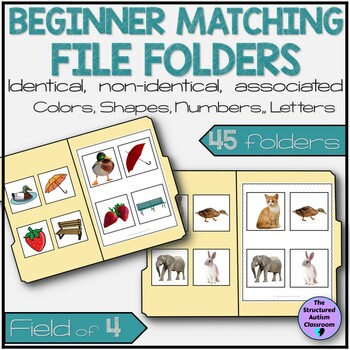 Preview of Matching Picture File Folders Identical, Non-identical, Associated, Letters SPED